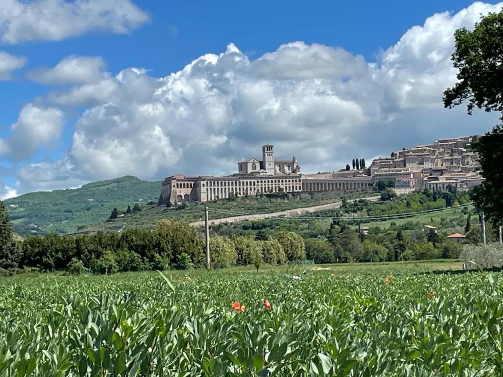 Il Fienile Di Assisi Villa Dış mekan fotoğraf