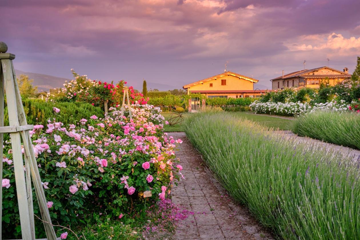 Il Fienile Di Assisi Villa Dış mekan fotoğraf