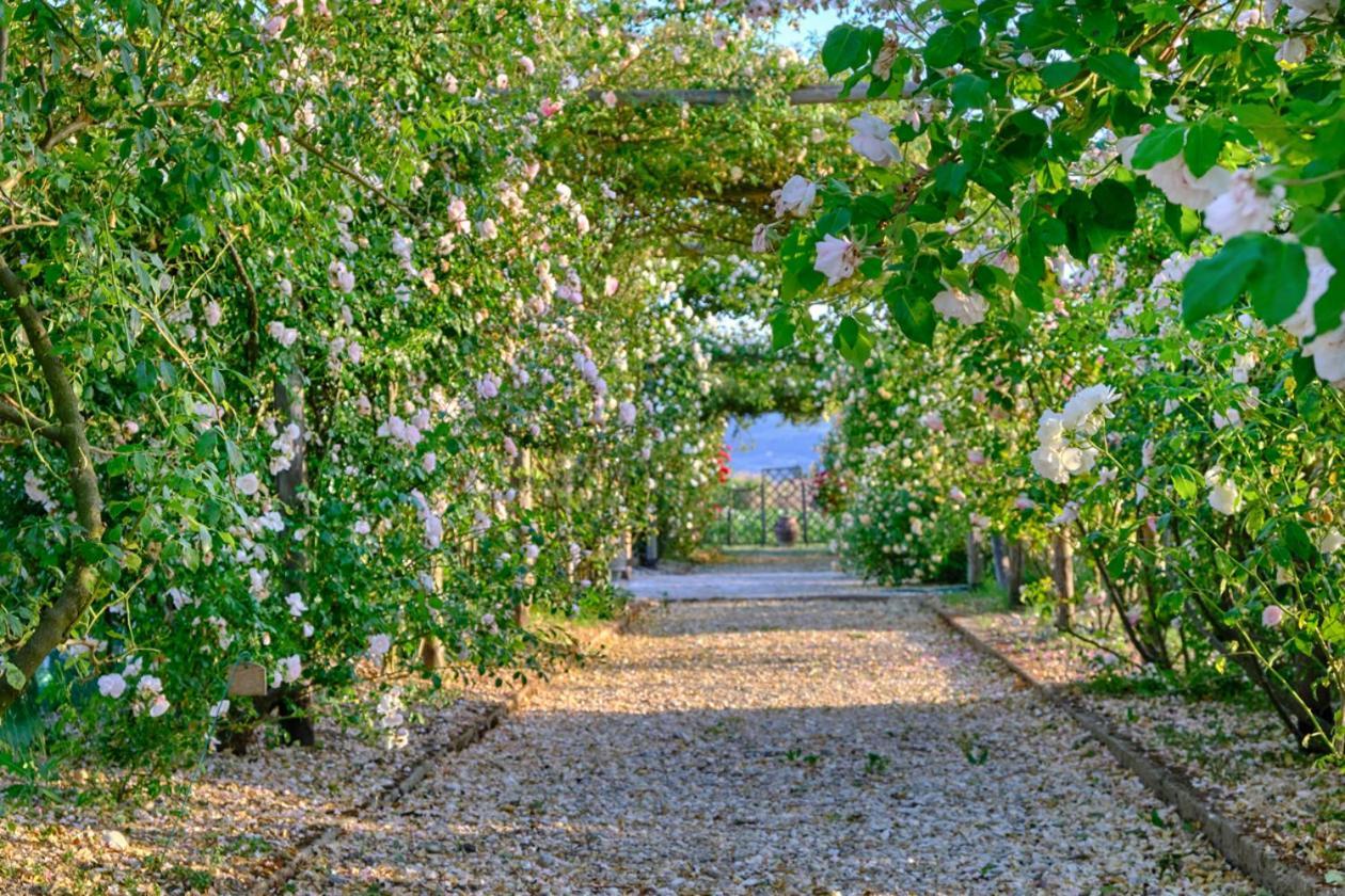 Il Fienile Di Assisi Villa Dış mekan fotoğraf